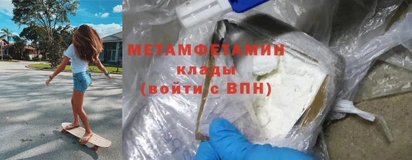 прущие грибы Каменногорск