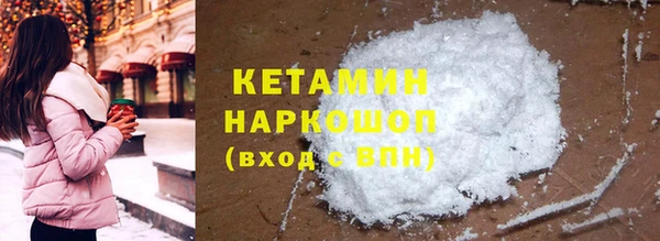 прущие грибы Каменногорск