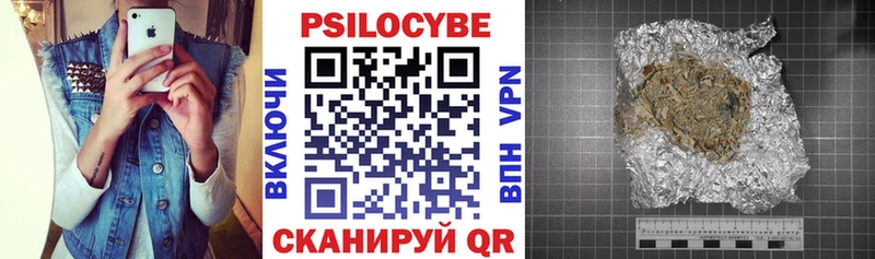 Псилоцибиновые грибы Psilocybe  Купить закладки  Староминская 